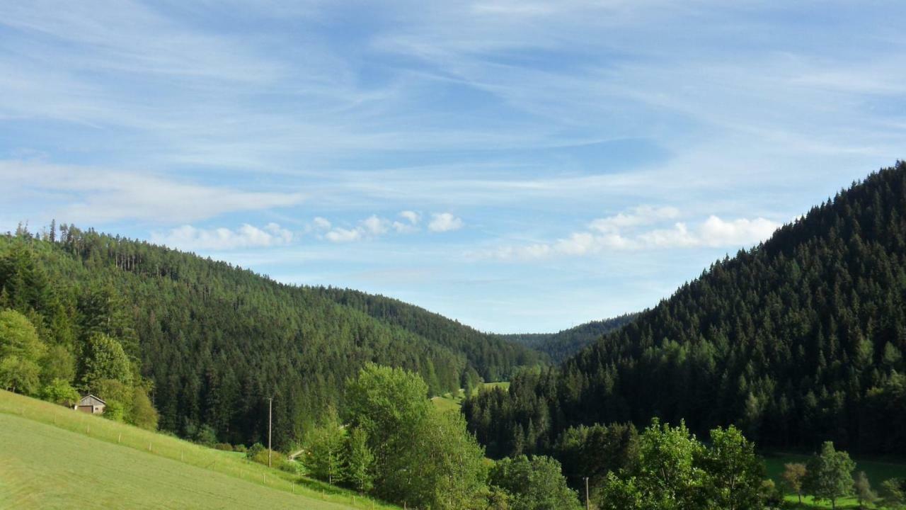 Ferienwohnung Kaufmann Baiersbronn Exterior foto